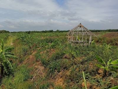 15,678 sqm Land Size Pozemky Na prodej