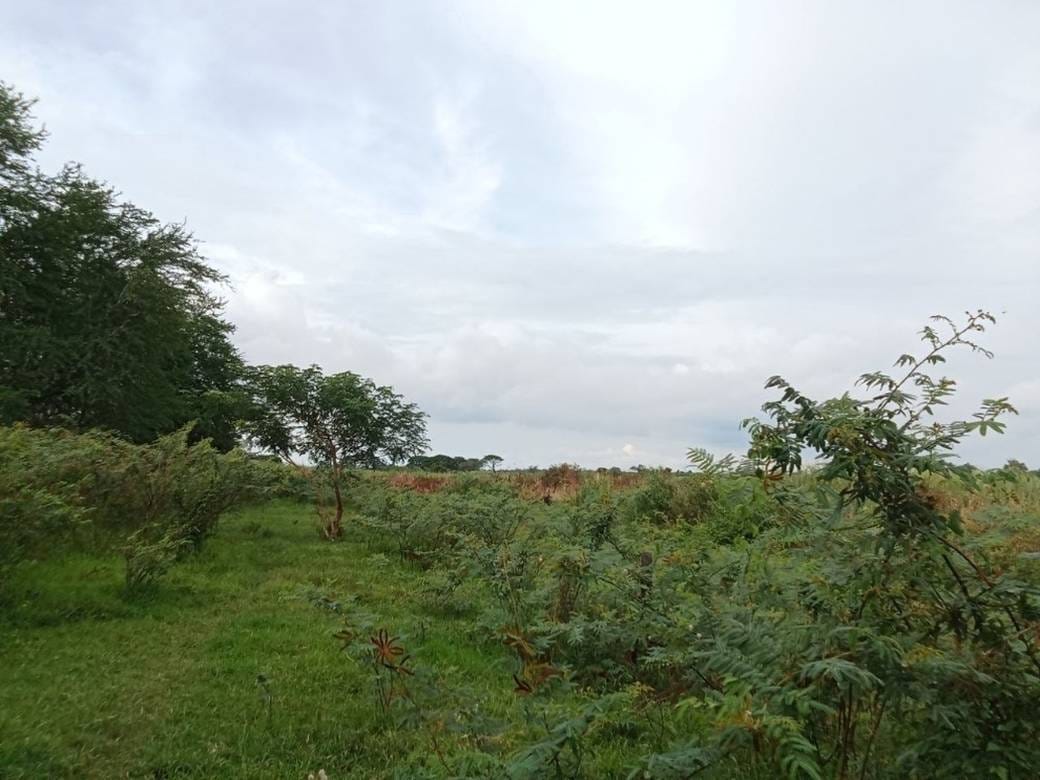Pozemky Na prodej in Preaek Thmei, Chbar Ampov, Phnom Penh