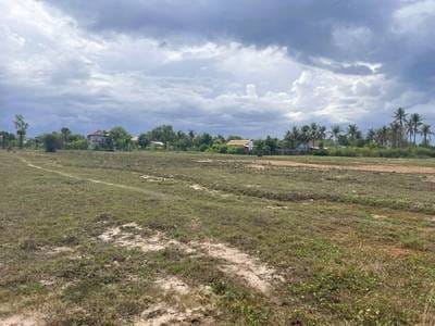 Lot For Sale in Chreav, Siem Reap, Siem Reap