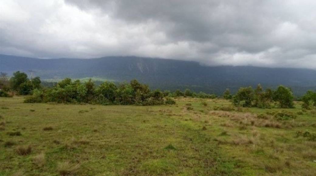 48,483 sqm Land Size Pozemky Na prodej