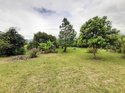 Lot For Sale in Andoung Khmer, Kampot, Kampot