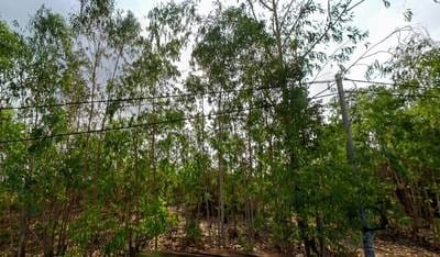 Działka Na sprzedaż o powierzchni działki 20,847 m²