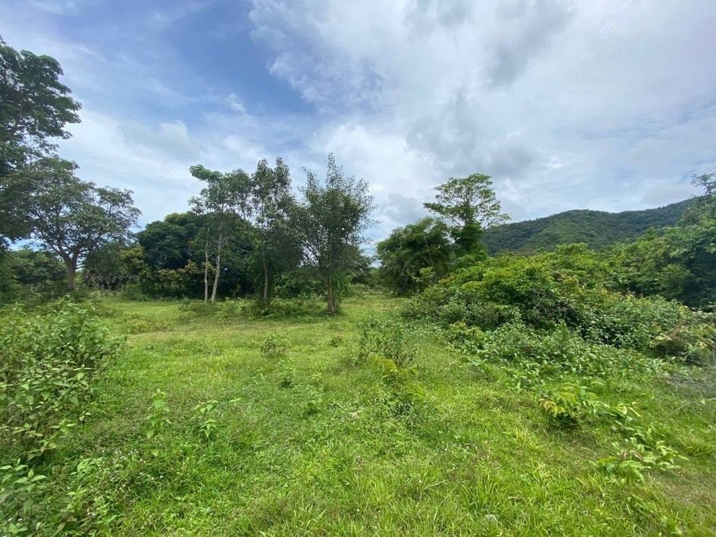 3,635 sqm Land Size Pozemky Na prodej