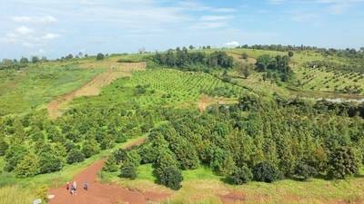 土地面積180,000㎡の土地売り物件