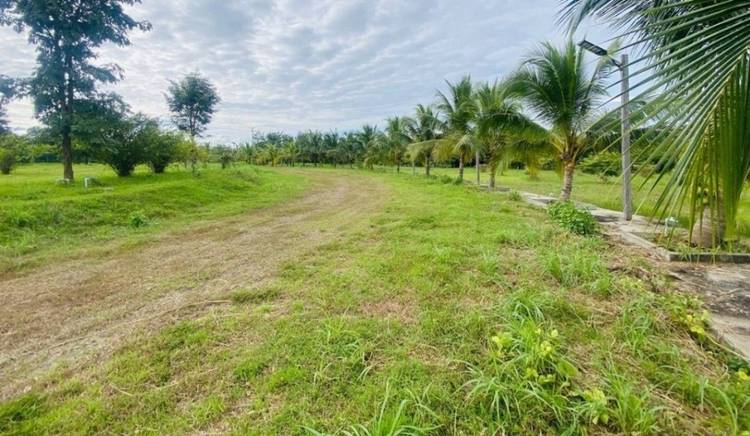 🏦Land Available for Urgent Sale at a Special Price (Negotiable).