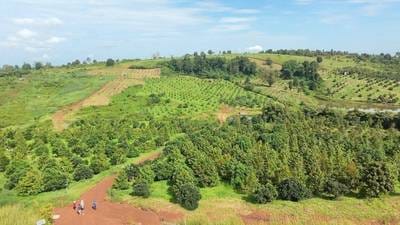 Monourom Земля Для Продажи in Monourom