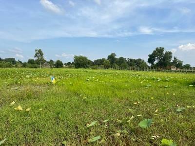 1,560平方米土地面积的土地出售