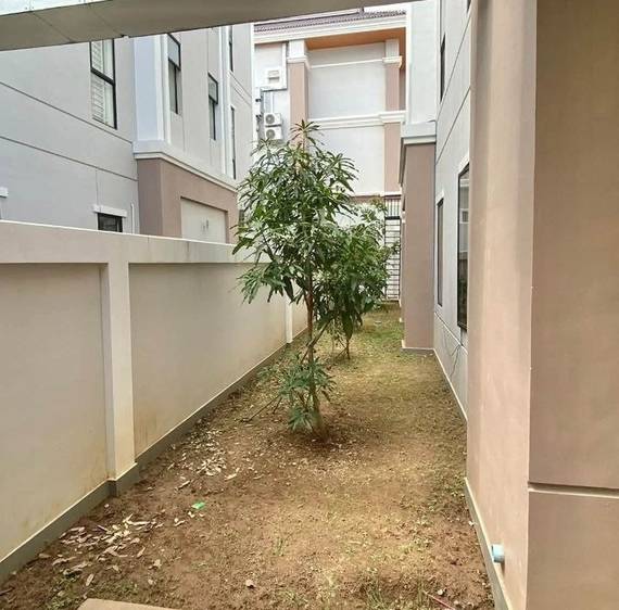 Borey Peng Huoth: The Star Mera Garden | 215 sqm Land Size Dvojvila K pronájmu