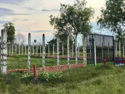 Земля Для Продажи in Нокор Тум, Сием Реап, Сием Реап