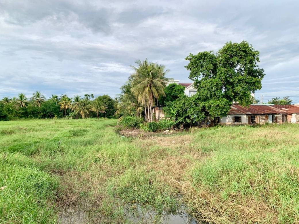 Land For Sale in Svay Dankum, Siem Reap