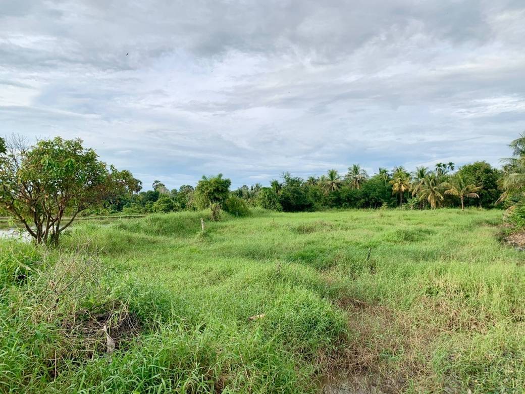 Lot For Sale in Svay Dankum, Siem Reap, Siem Reap