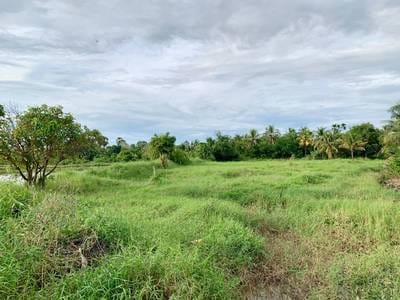 Lot For Sale in Svay Dankum, Siem Reap, Siem Reap