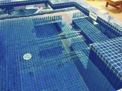 Cassia Fistula villa Apartment | $300 Condo