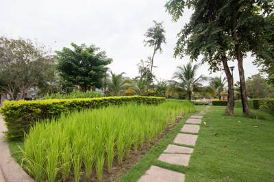 598 Street Chea Sophara, ភ្នំពេញថ្មី, សែនសុខ, ភ្នំពេញ