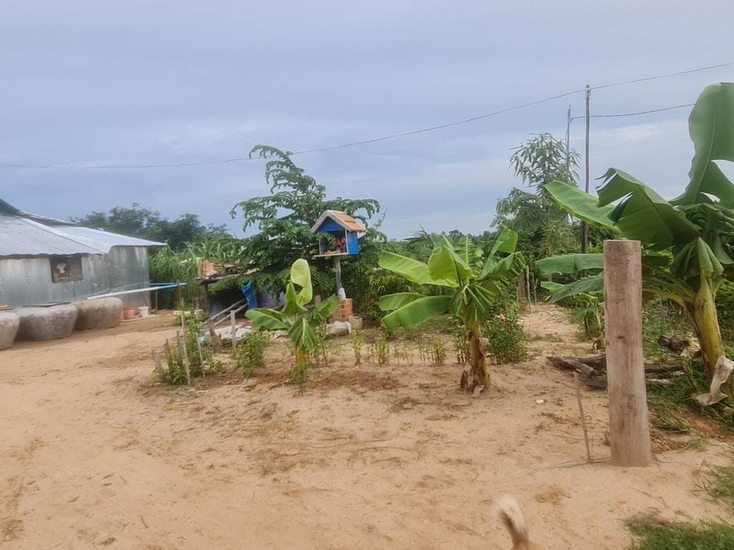 土地出售，位于Prey Village Svay, Ampov Prey 县, Kandal Stueng 县, 干拉省