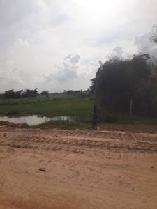 Ponsang Lot សំរាប់លក់ នៅ Ponsang