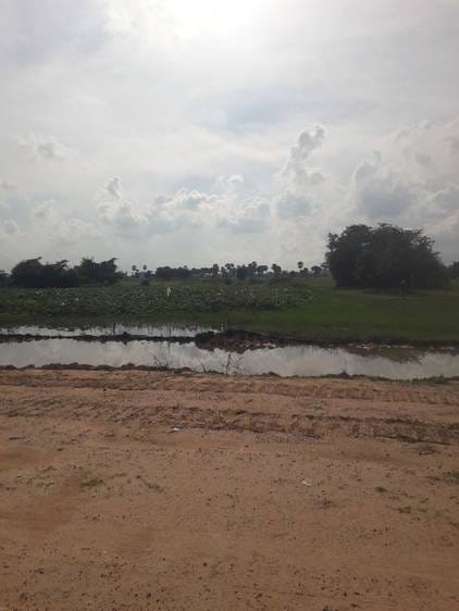 Lot សំរាប់លក់ ទំហំដី 5,774 ម៉ែត្រការ៉េ