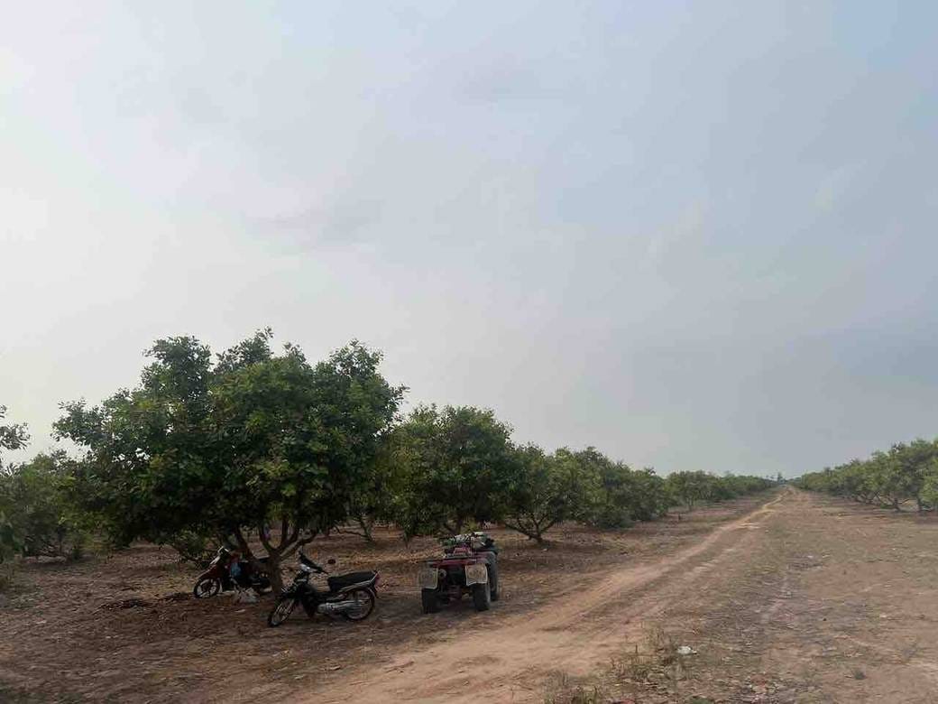 Samraong土地出售，价格$2,600,000