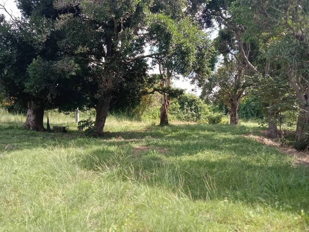 Pozemky Na prodej in Andoung Khmer, Kampot, Kampot