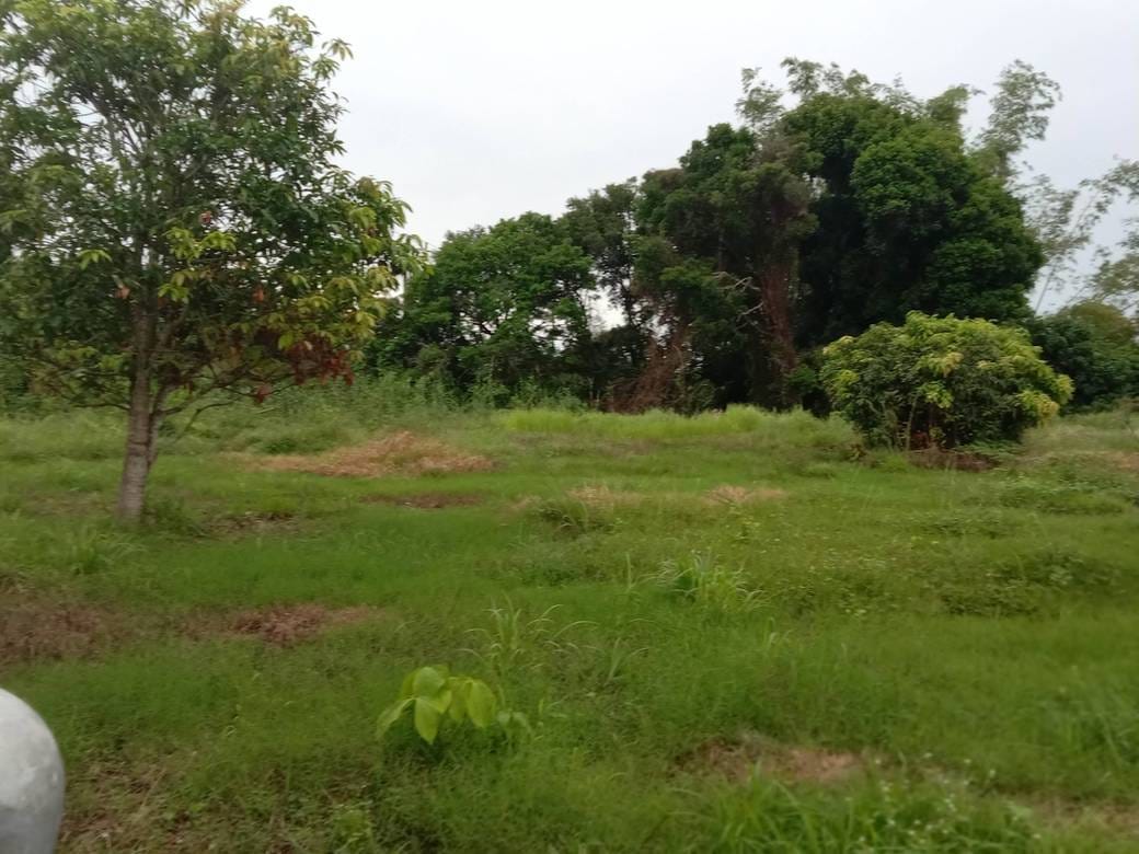 Pozemky Na prodej in Kampot $160,000