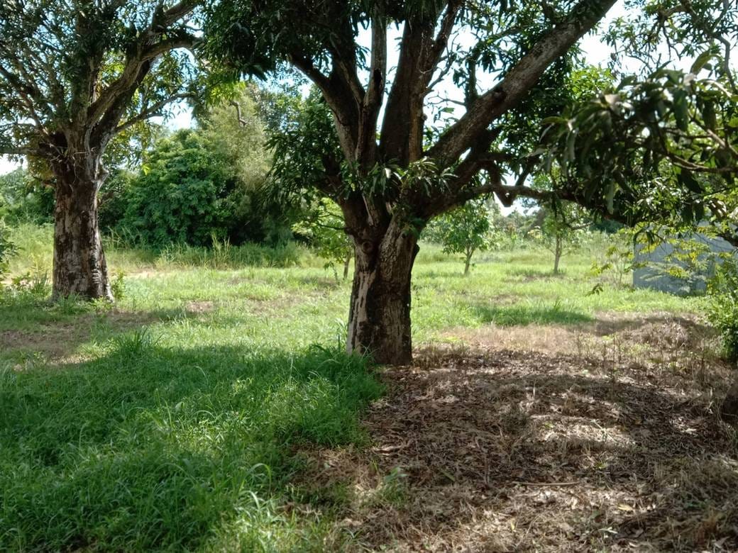 7,450 sqm Land Size Pozemky Na prodej
