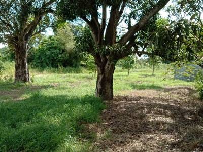 7,450 sqm Land Size Pozemky Na prodej