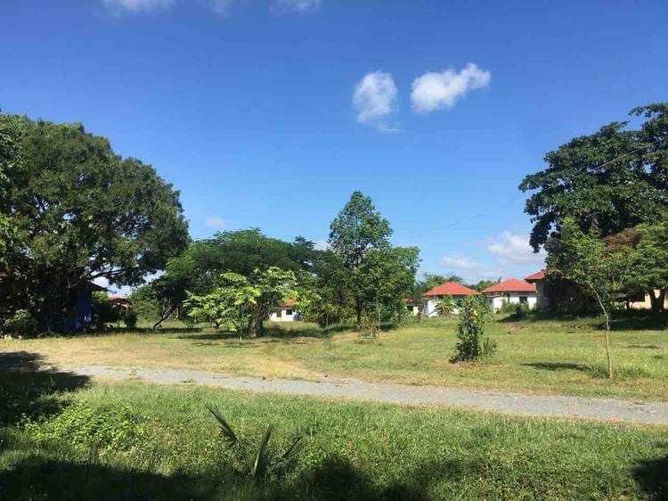 Land For Sale in Trapeang Kong, Samraong Tong, Kampong Speu