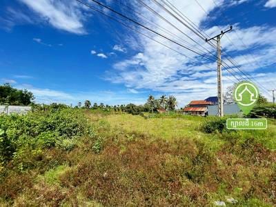 Lot For Sale in Ponhea Pon, Prek Pnov, Phnom Penh