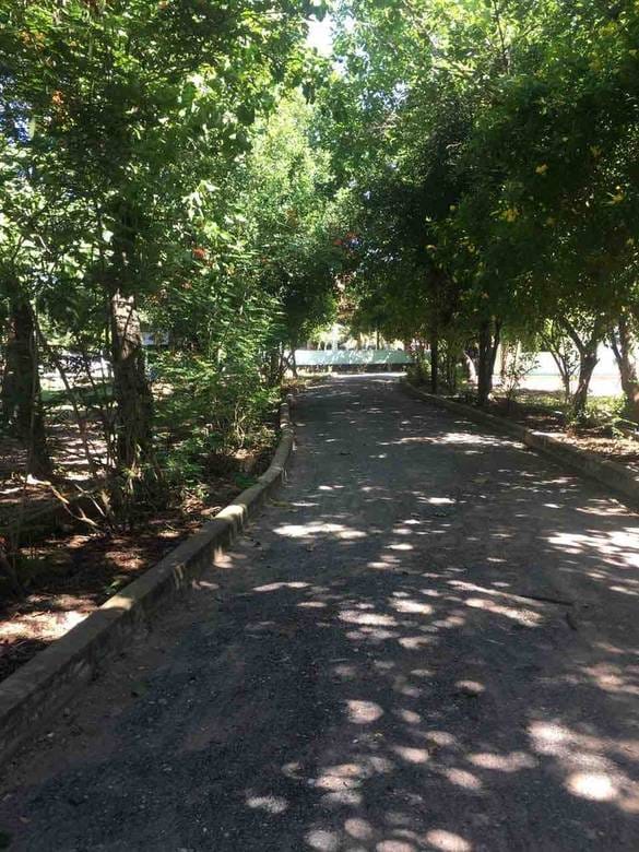 Trapeang Kong Lot For Sale in Trapeang Kong