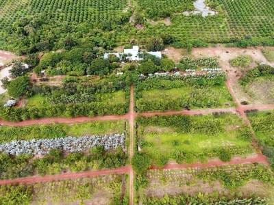 Lot À vendre à Traeng Trayueng, Phnum Sruoch, Kampong Speu
