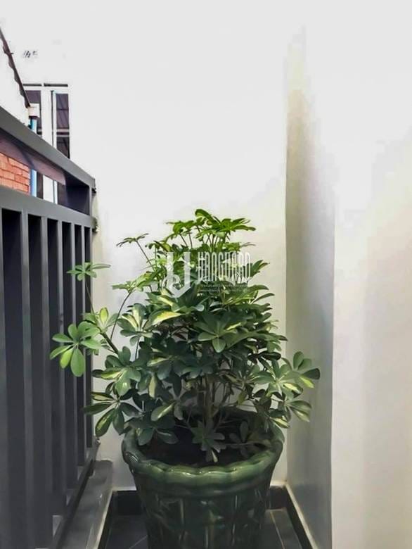 Sen Sok套房出租，价格$250