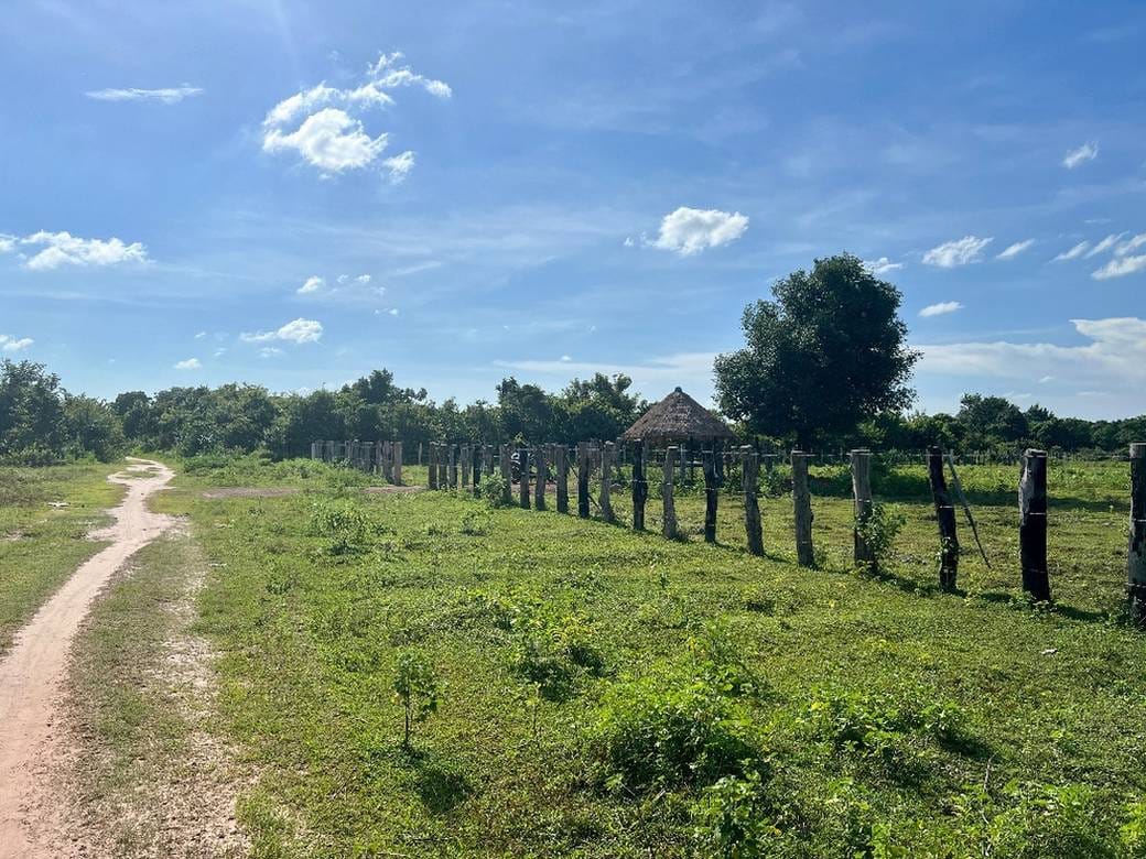 ដី សំរាប់លក់ ទំហំដី 14,109 ម៉ែត្រការ៉េ