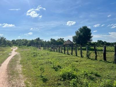 ដី សំរាប់លក់ ទំហំដី 14,109 ម៉ែត្រការ៉េ
