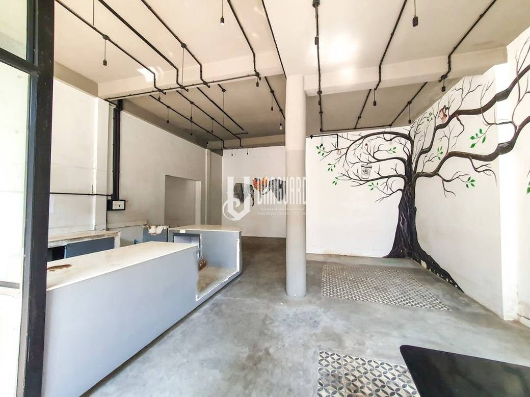 CommercialShophouse出租，位于, Boeng Reang镇, 隆边区, 金边