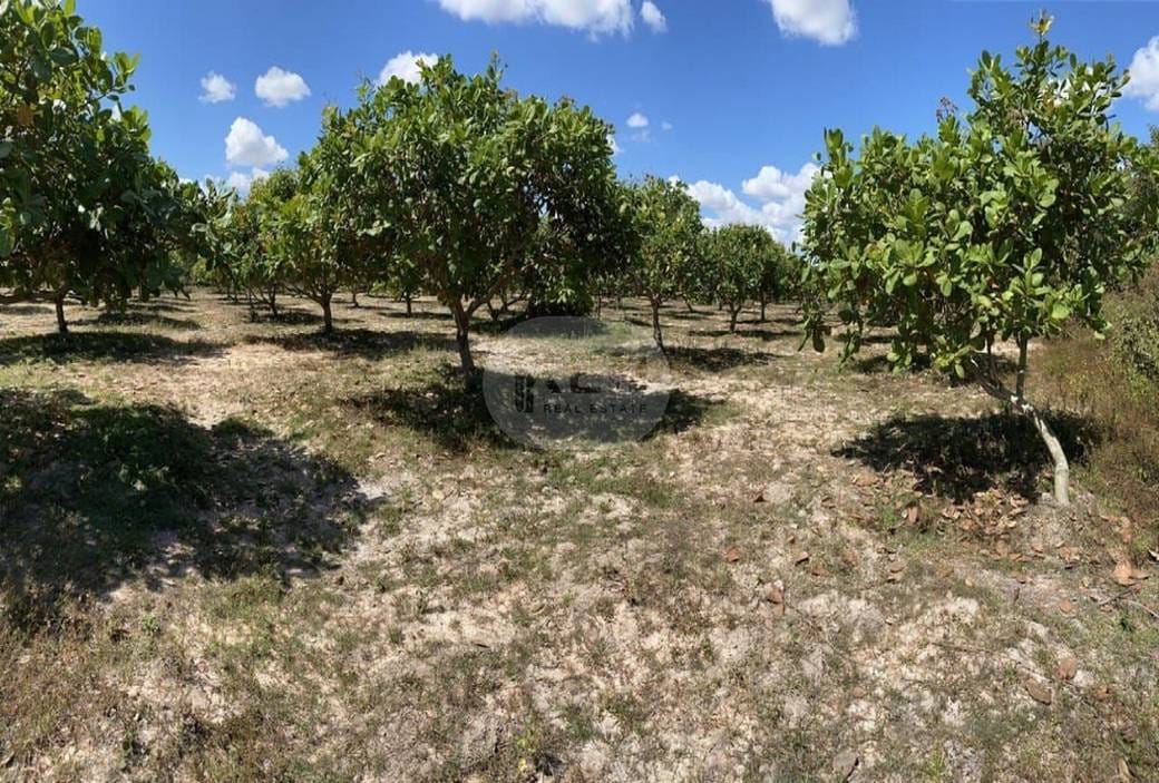 Lot สำหรับขาย ใน ตระเปียงรึสเซ็ย, กำปงสวาย, กำปงธม