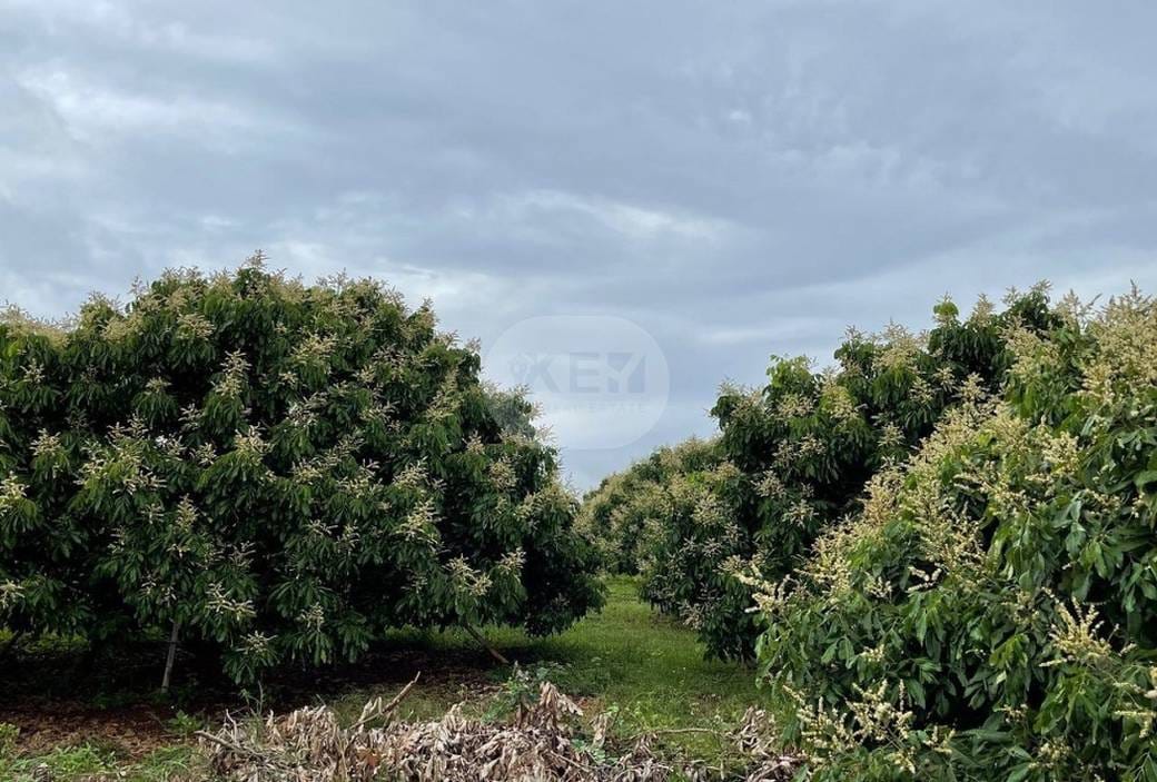 77,568 sqm Land Size Lot For Sale