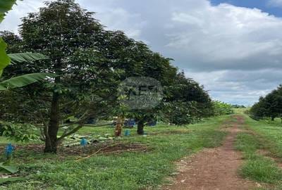 Lot For Sale in Kuleaen $350,000
