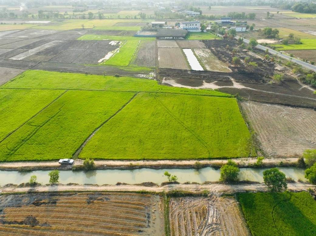 4,006 sqm Land Size Pozemky Na prodej