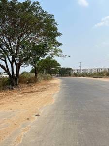 ที่ดิน สำหรับขาย ขนาดที่ดิน 10,000 ตร.ม.