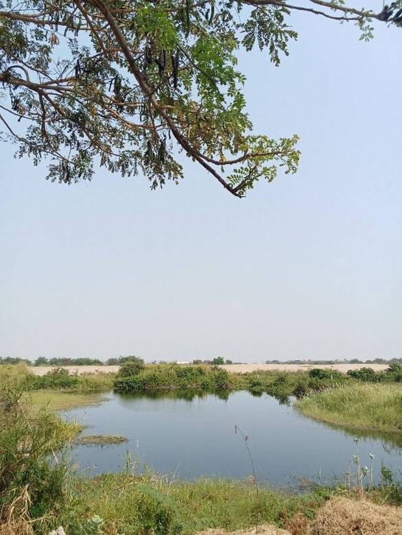 ที่ดิน สำหรับขาย ใน Chroy Changvar $2,000,000