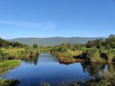 Agricultural For Sale in Prey Nob, Prey Nob, Sihanoukville