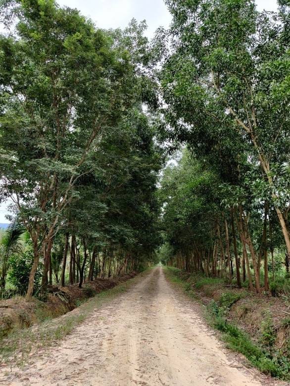 Agricultural For Sale in Prey Nob $17,100,000