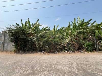 2,000 sqm Land Size Lot For Rent