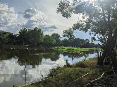 140,000 sqm Land Size Resort For Sale
