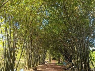 Resort For Sale in Siem Reap $1,800,000