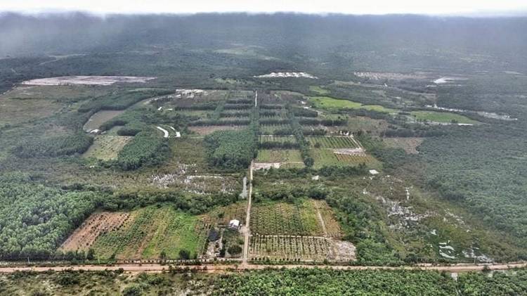 Farm Land For Sale in Prey Nob, Sihanoukville