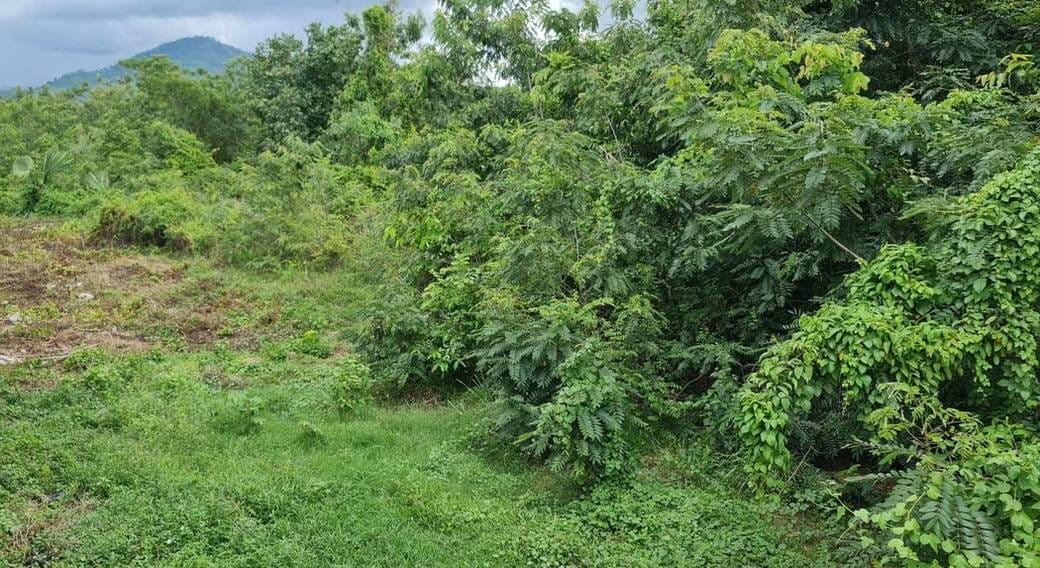 Kampot土地出售，价格$2,485,200