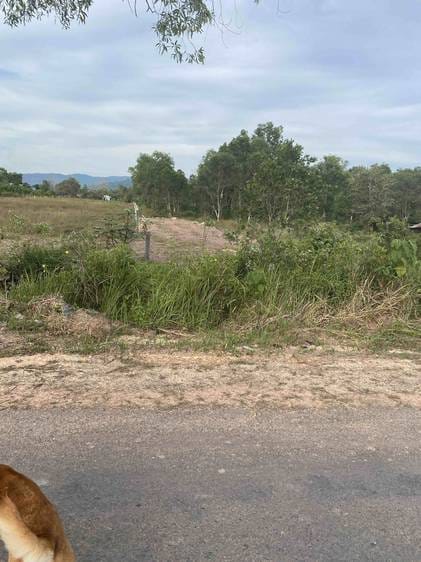 Smach Mean Chey Lot For Sale in Smach Mean Chey