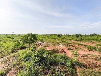 ដីកសិកម្ម សំរាប់លក់ ទំហំដី 754,699 ម៉ែត្រការ៉េ