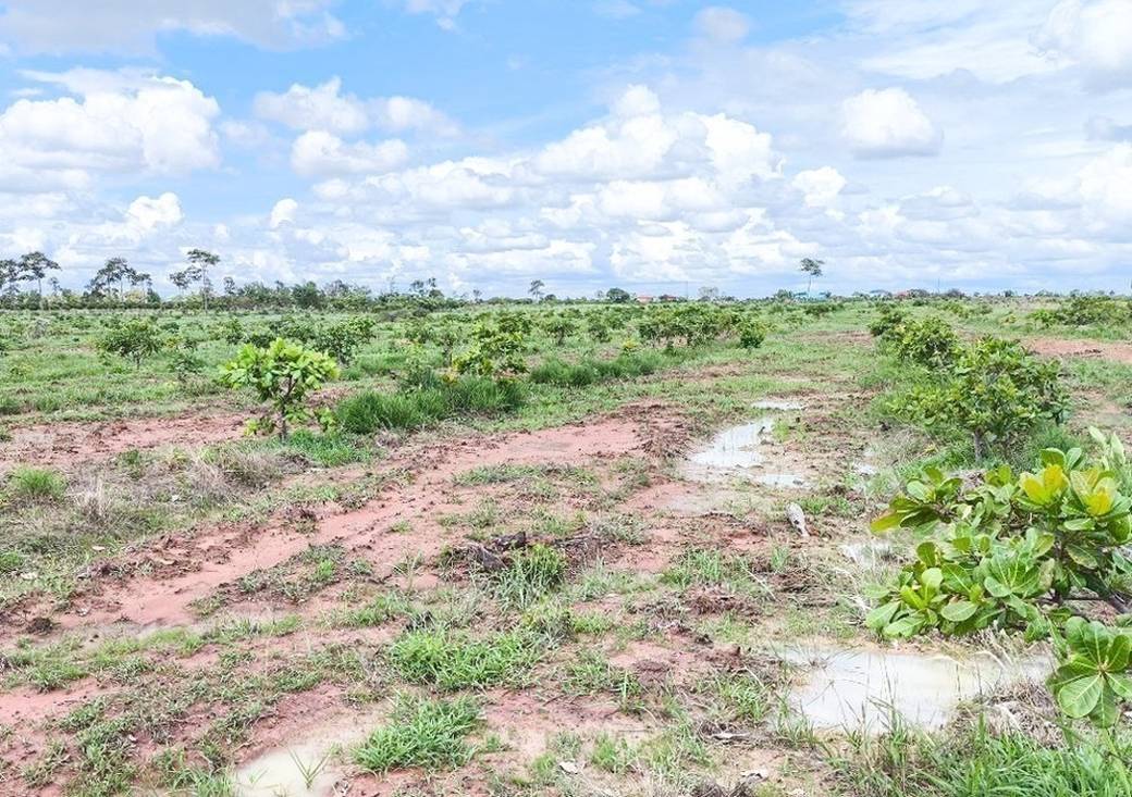 ដីកសិកម្ម សំរាប់លក់ នៅSambour តម្លៃ $754,699